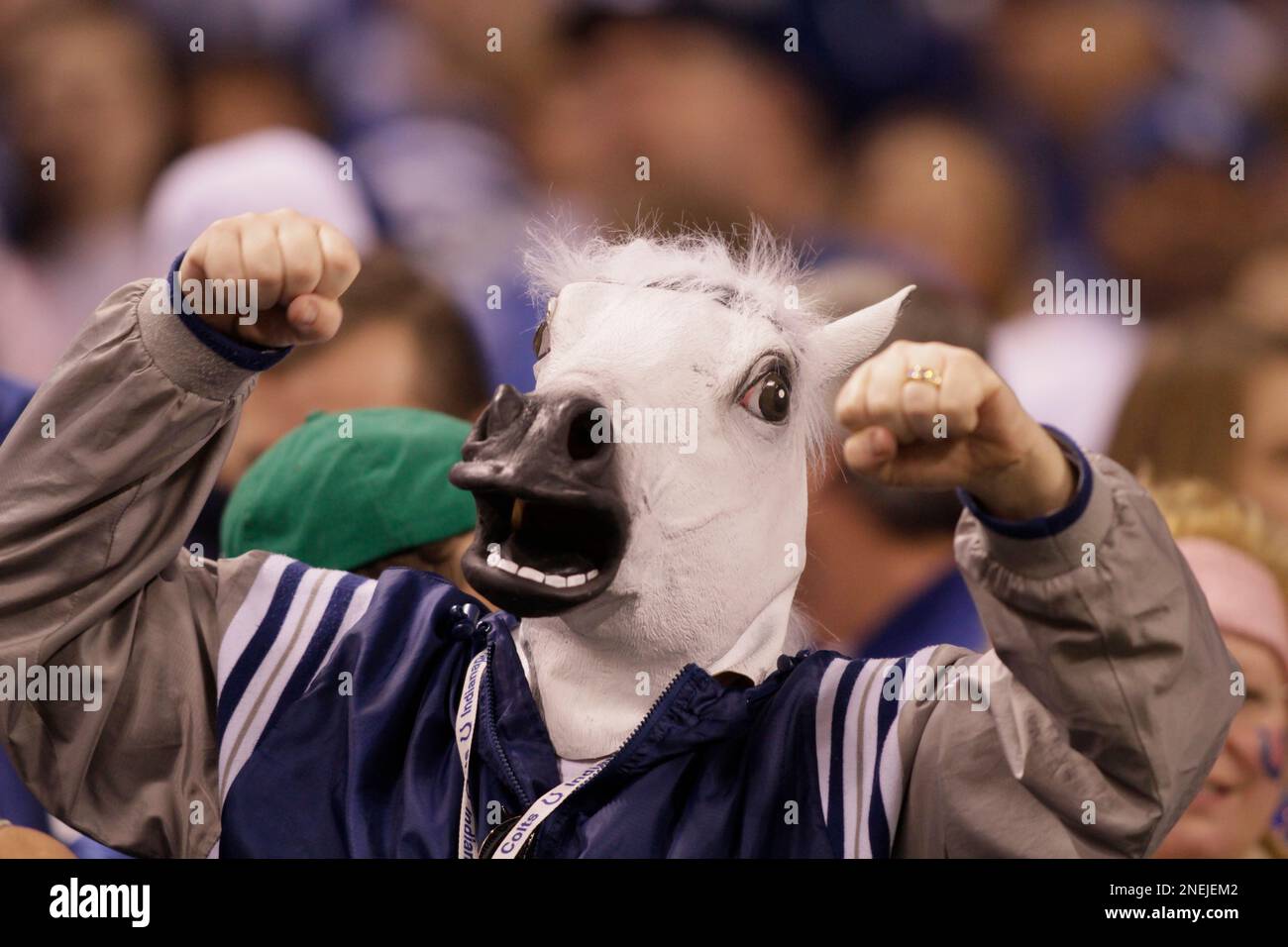 A colts fan wears a horse head mask before an NFL football game between the Indianapolis  Colts and the New York Jets in Indianapolis, Sunday, Dec. 27, 2009. (AP  Photo/AJ Mast Stock