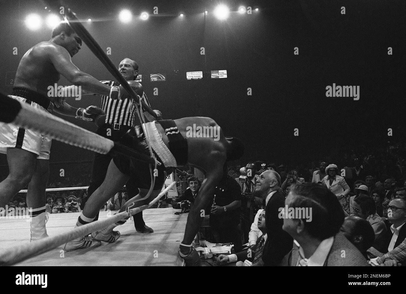 Heavyweight champion Muhammad Ali knocks Jimmy Young out of the ropes