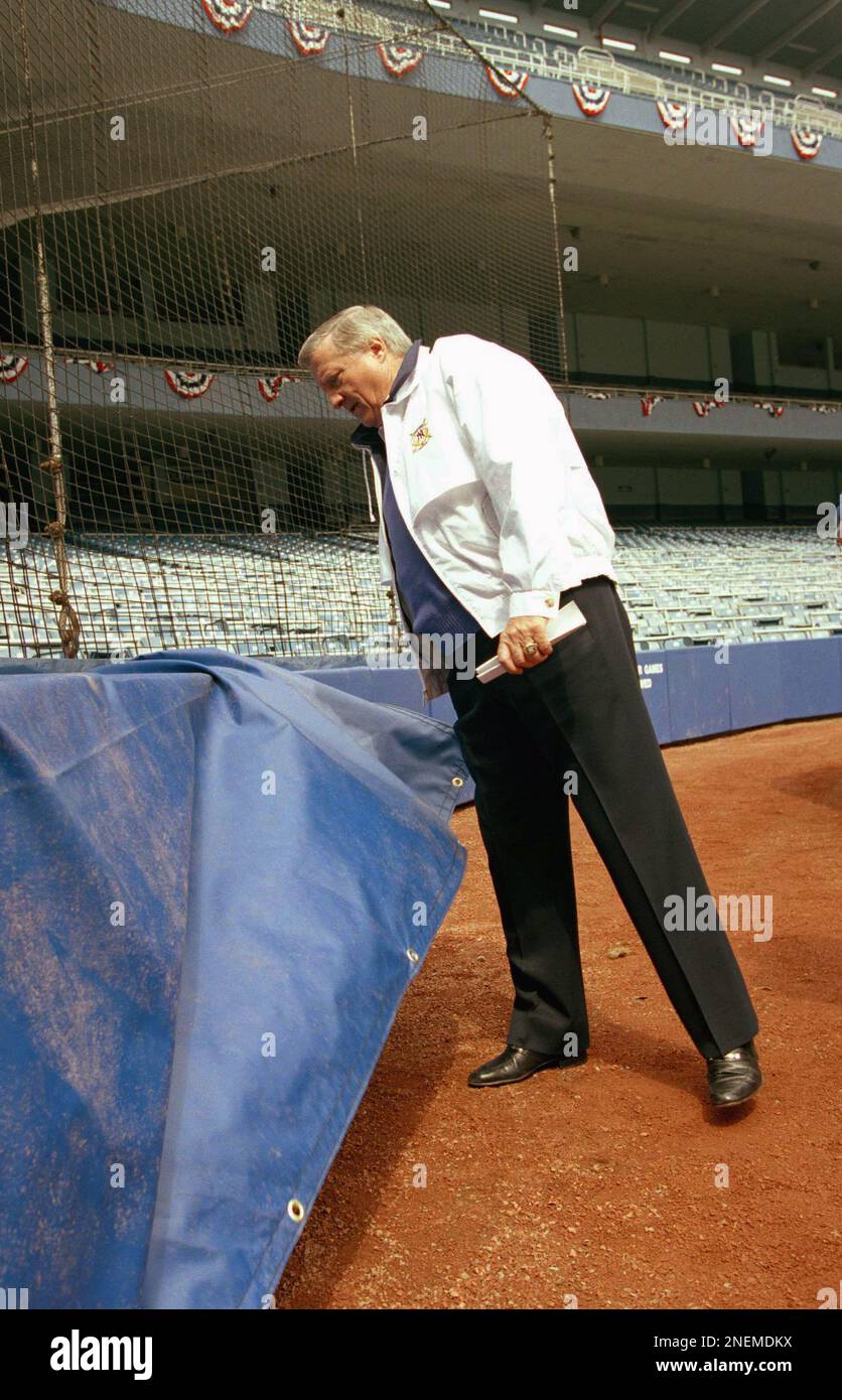 Advertising Behind Home Plate George Steinbrenner The Psychology of the Glowing Backstop