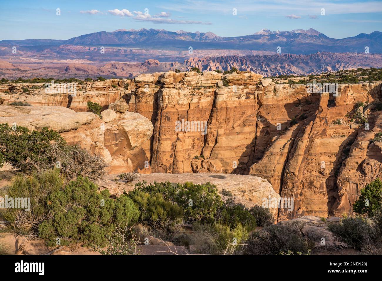 View over the Dry Fork of Bull Canyon with Behind the Rocks and the snow-capped La Sal Mountains behind.  Moab, Utah. Stock Photo