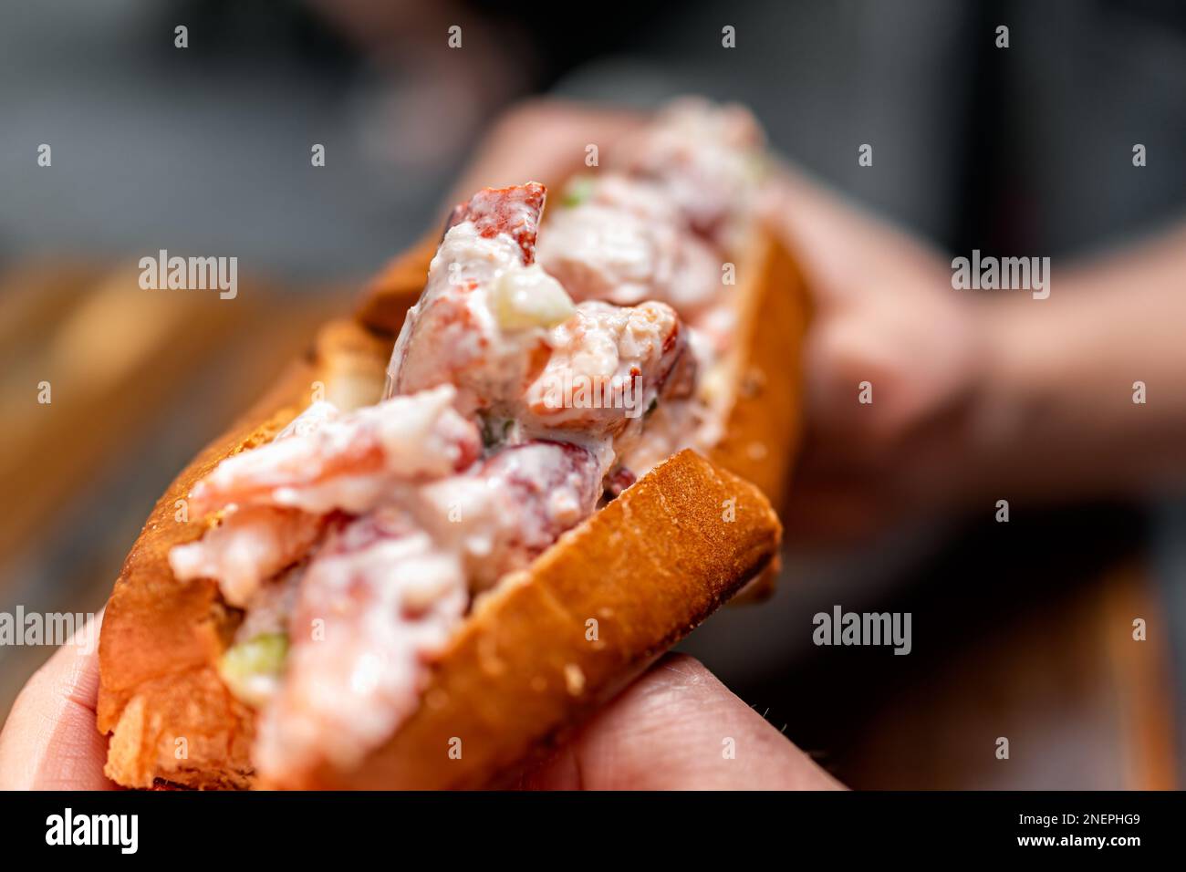 Maine lobster roll sandwich in brioche bun bread macro closeup texture