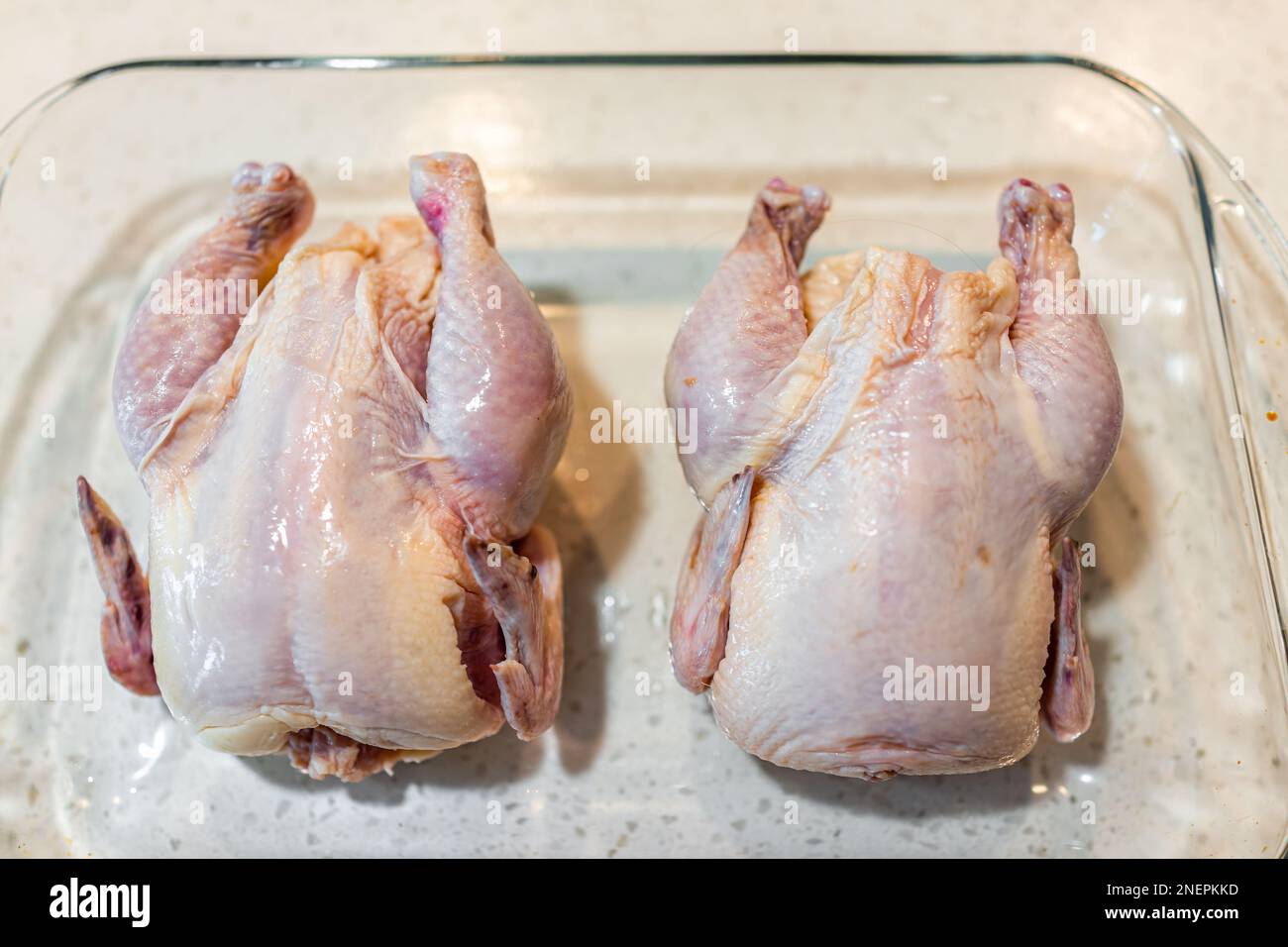 Closeup of two small whole cornish hen chickens for roasting as raw pink meat in glass baking pan dish tray above view Stock Photo