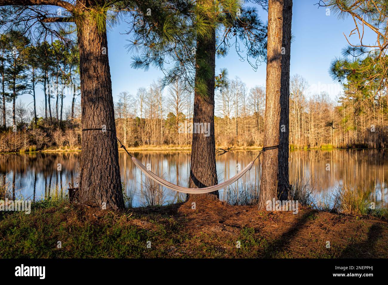 Eutawville, South Carolina sunset near Lake Marion with empty hammock
