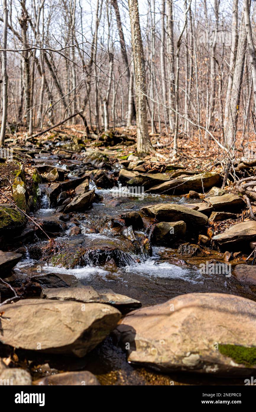 Small cascade waterfall river stream water flowing in Shamokin Springs Nature preserve hiking
