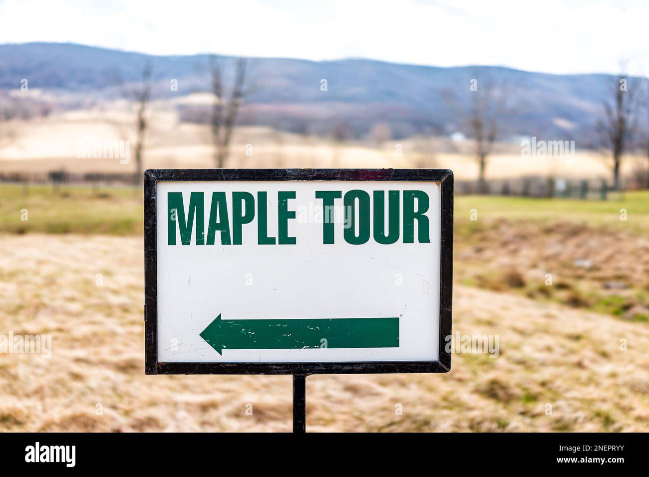 Maple syrup tour generic sign with direction arrow in Highland county