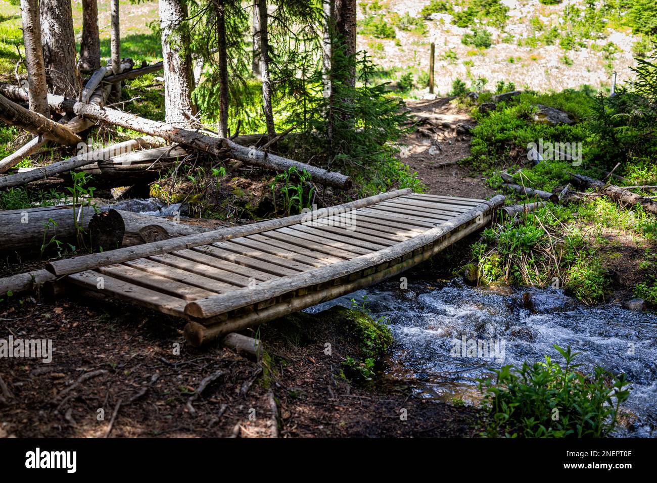 Water creek small river spring bridge crossing in summer at Royal Elk