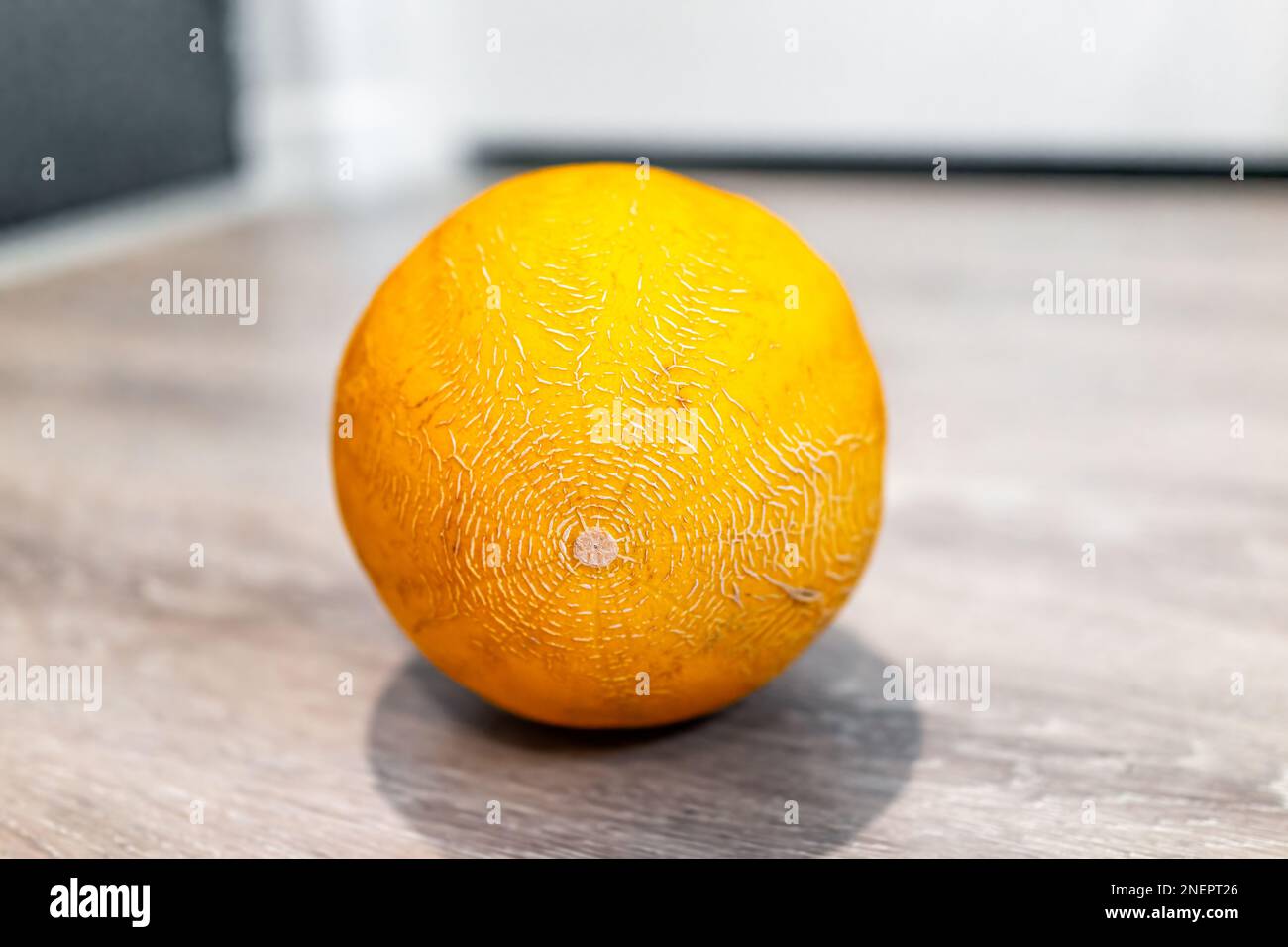 Winter hami melon whole yellow sweet fruit with texture of rind and pattern Stock Photo