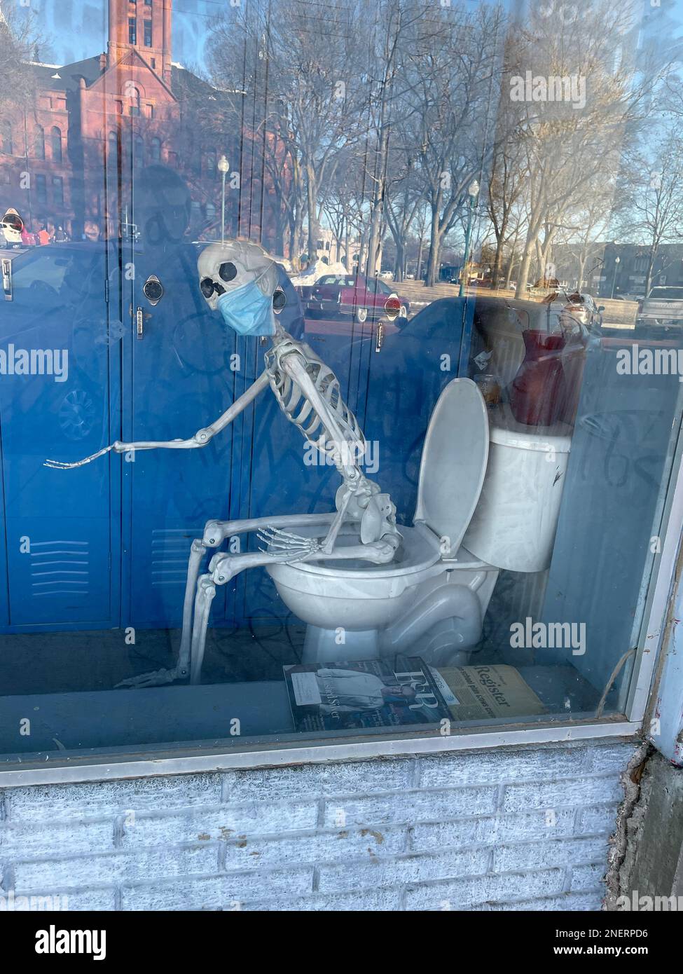 Skeleton sitting on a toilet wearing a mask in store window display