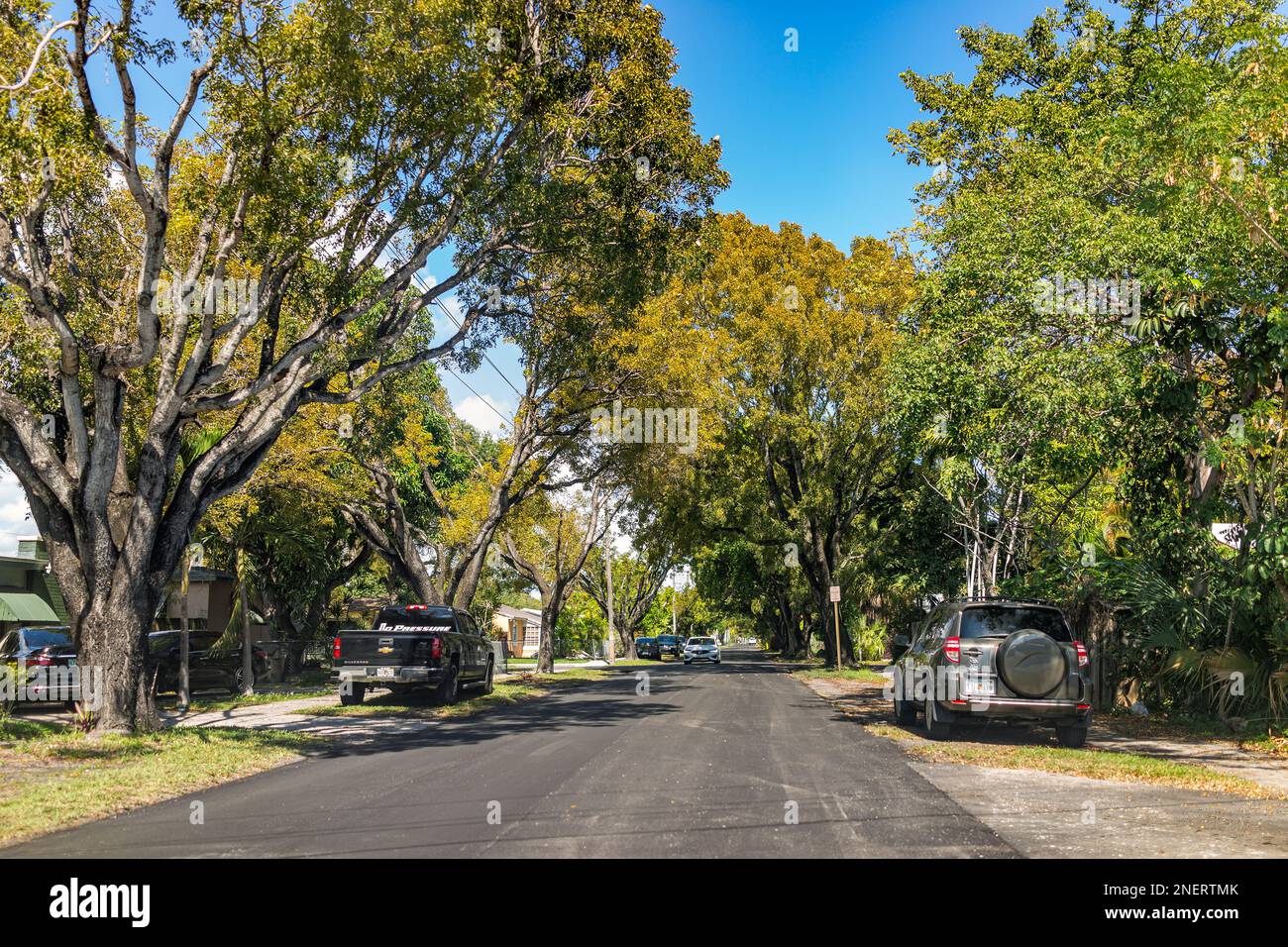 Hollywood, USA - February 12, 2022: Residential narrow street in North Miami, Florida neighborhood community with single family houses homes, cars par Stock Photo