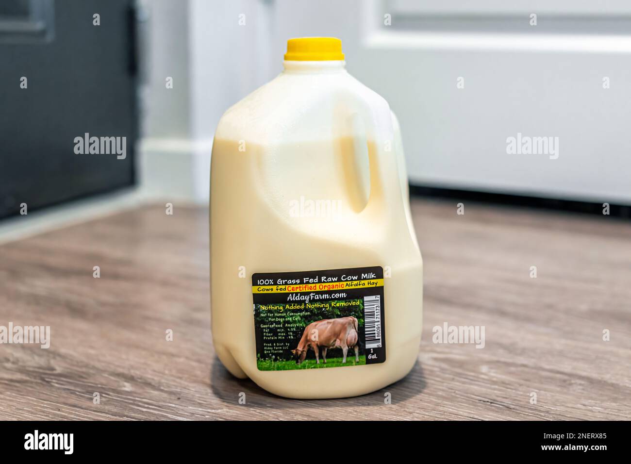 https://c8.alamy.com/comp/2NERX85/naples-usa-may-17-2022-gallon-plastic-jar-container-of-raw-unpasteurized-cow-dairy-milk-from-alday-florida-farm-not-for-human-consumption-2NERX85.jpg