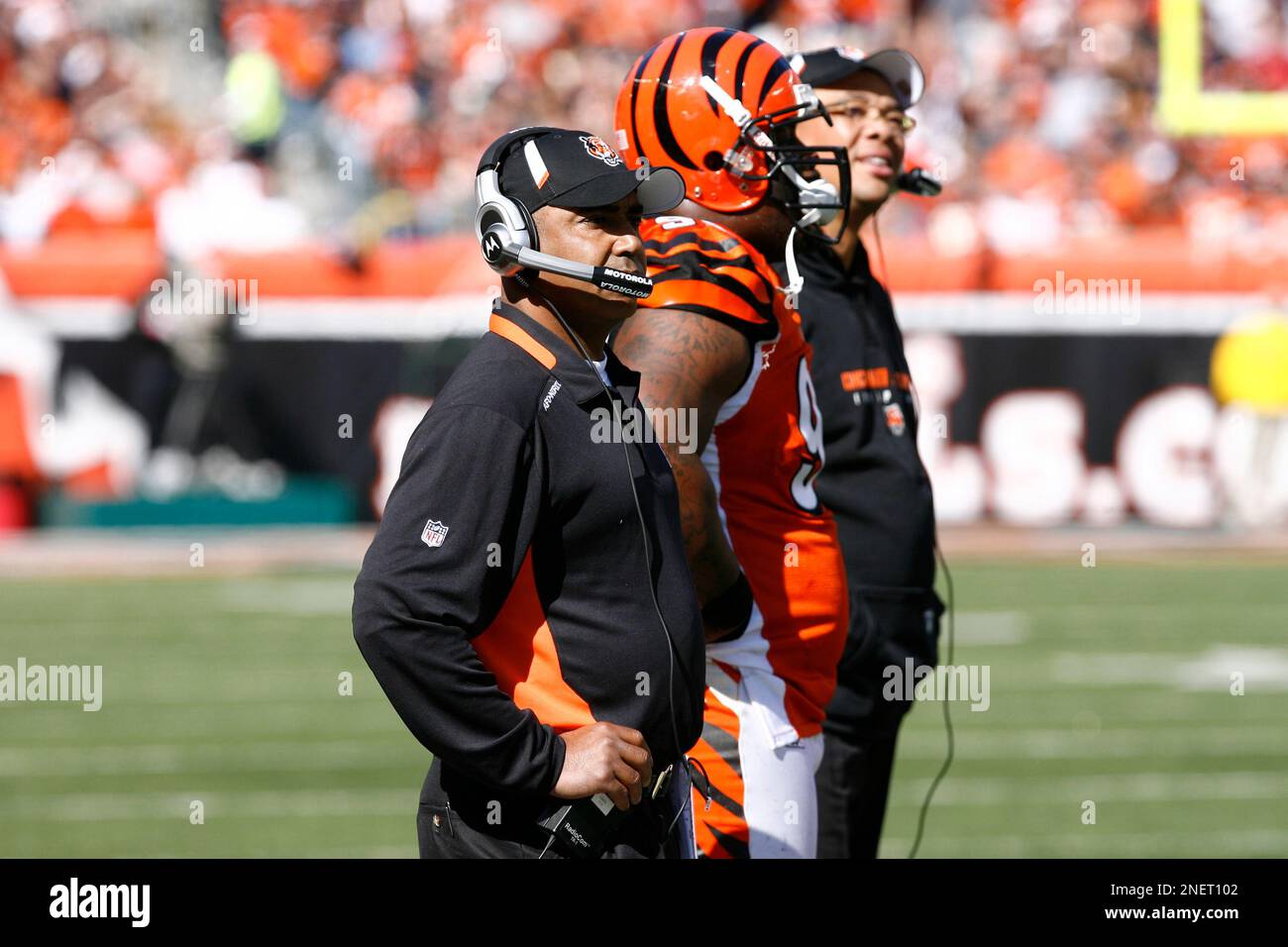 Cincinnati Bengals head coach Marvin Lewis in action against the Houston  Texans in the first half of an NFL football game, Sunday, Oct. 18, 2009, in  Cincinnati. (AP Photo/David Kohl Stock Photo 