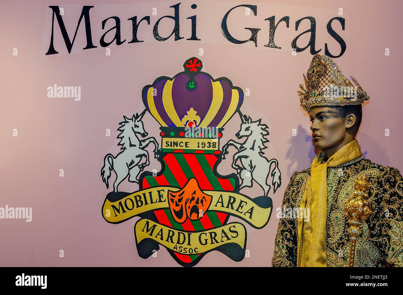 mardi gras museum hours