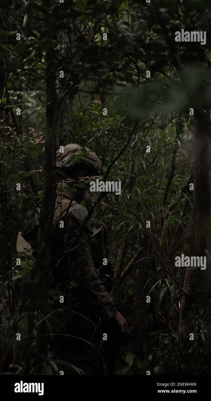 A U.S. Marine with 1st Battalion, 7th Marines patrols during Jungle Warfare Exercise 23 in the Northern Training Area on Okinawa, Japan, Feb. 14, 2023. JWX 23 is a large-scale field training exercise focused on leveraging the integrated capabilities of joint and allied partners to strengthen all-domain awareness, maneuver, and fires across a distributed maritime environment. (U.S. Marine Corps photo by Lance Cpl. Noah Masog) Stock Photo