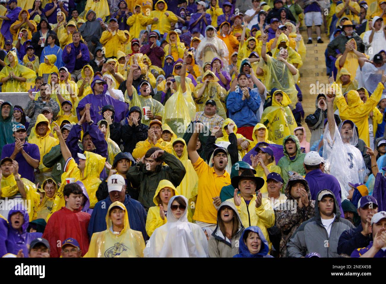 Tiger Stadium fans wearing rain gear cheer their team on during the LSU-t  Vanderbilt game in the first half of an NCAA college football game in Baton  Rouge, La., Saturday, Sept. 12,