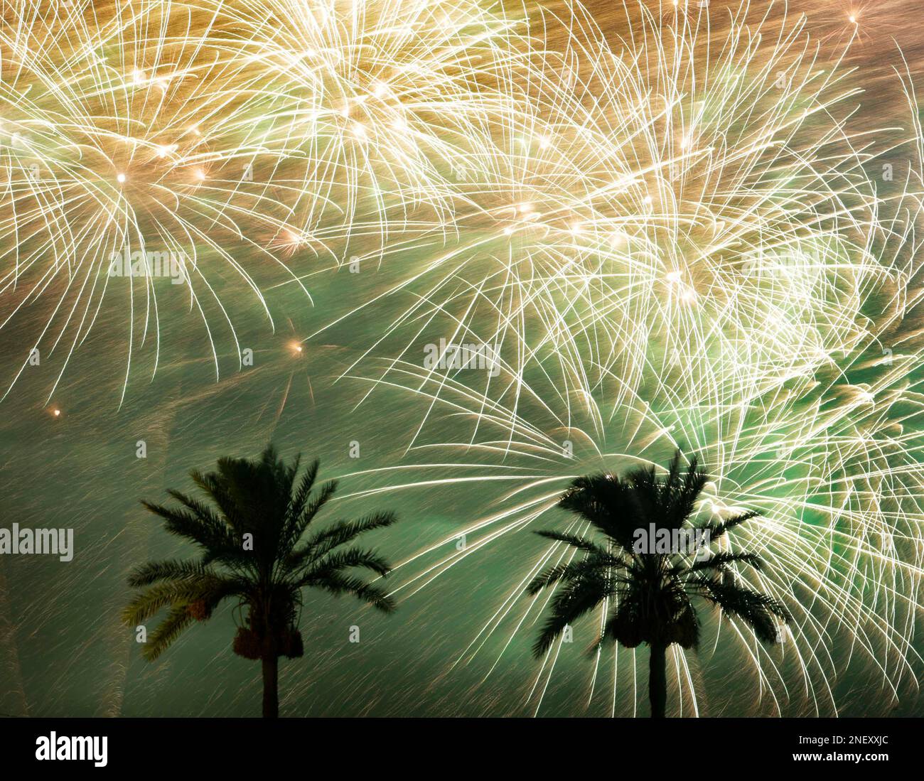 Fireworks launched from ships explode over palm trees at the end of a lavish outdoor theatrical