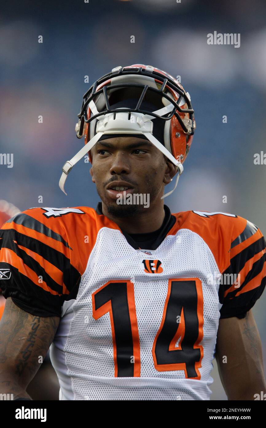 Cincinnati Bengals wide receiver Terrell Owens (81) in action during  football training camp during the NFL football team's practice, Thursday,  July 29, 2010, in Georgetown, Kentucky. (AP Photo/Al Behrman Stock Photo -  Alamy