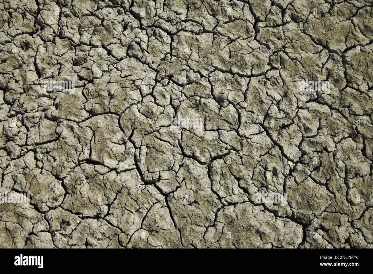Climate warming dry chapped land Stock Photo - Alamy