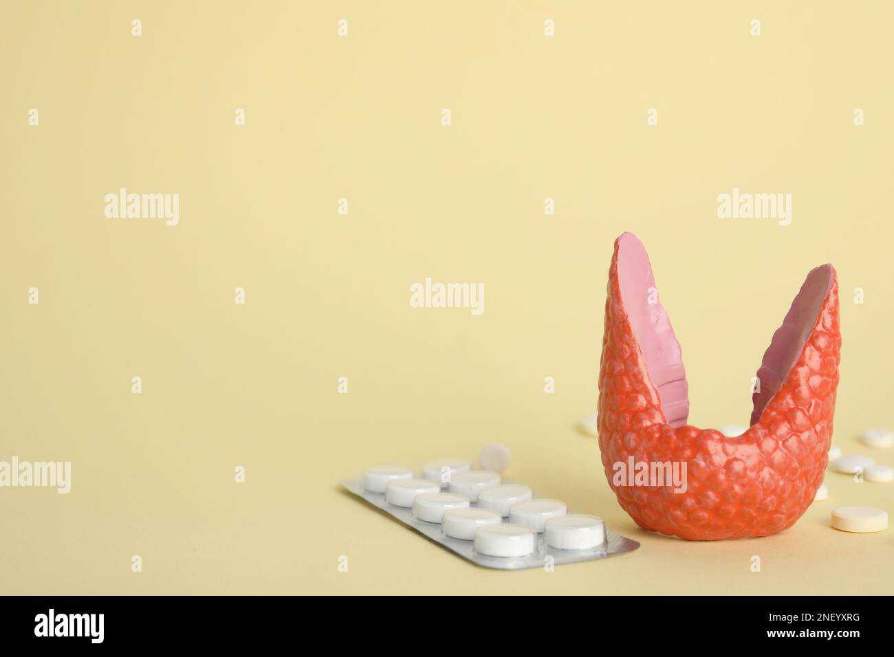 Plastic model of healthy thyroid and pills on beige background, space for text Stock Photo