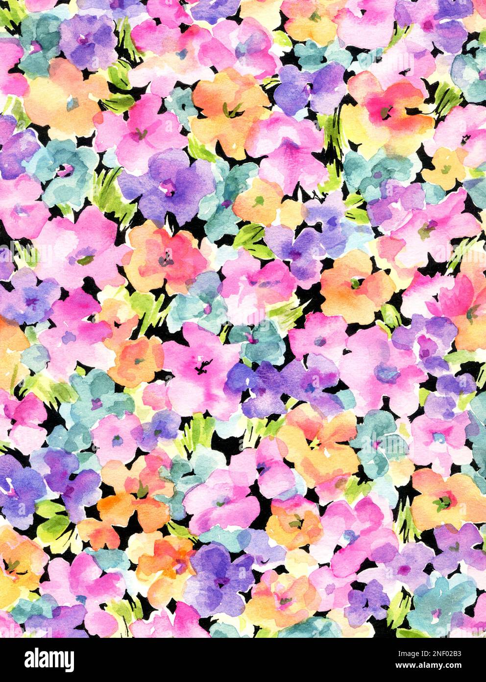 Pastel coloured blooms hi-res stock photography and images - Alamy
