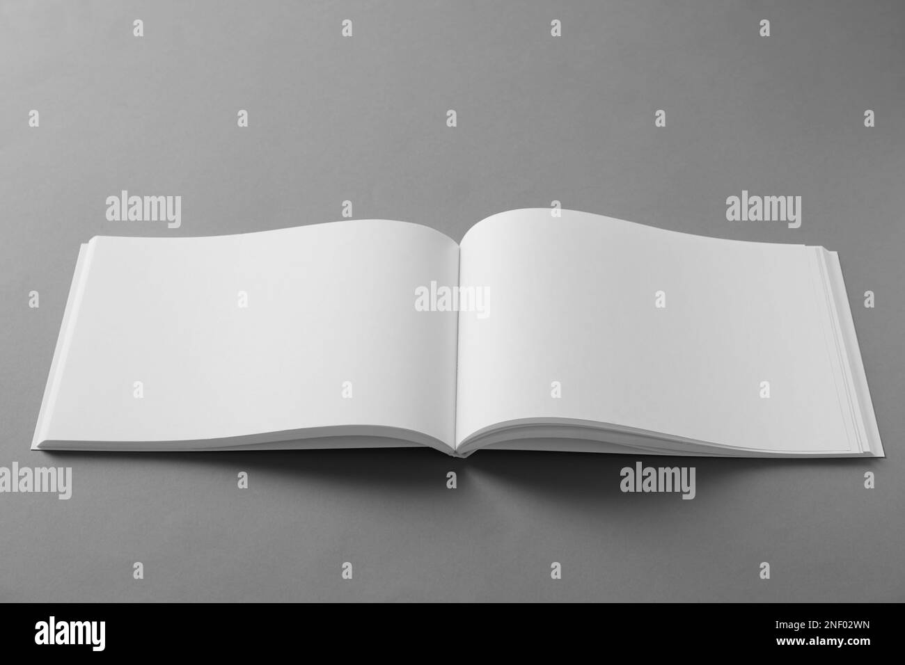 Open Blank Brochure On Light Grey Background Stock Photo Alamy Open blank brochure on light grey background stock photo alamy