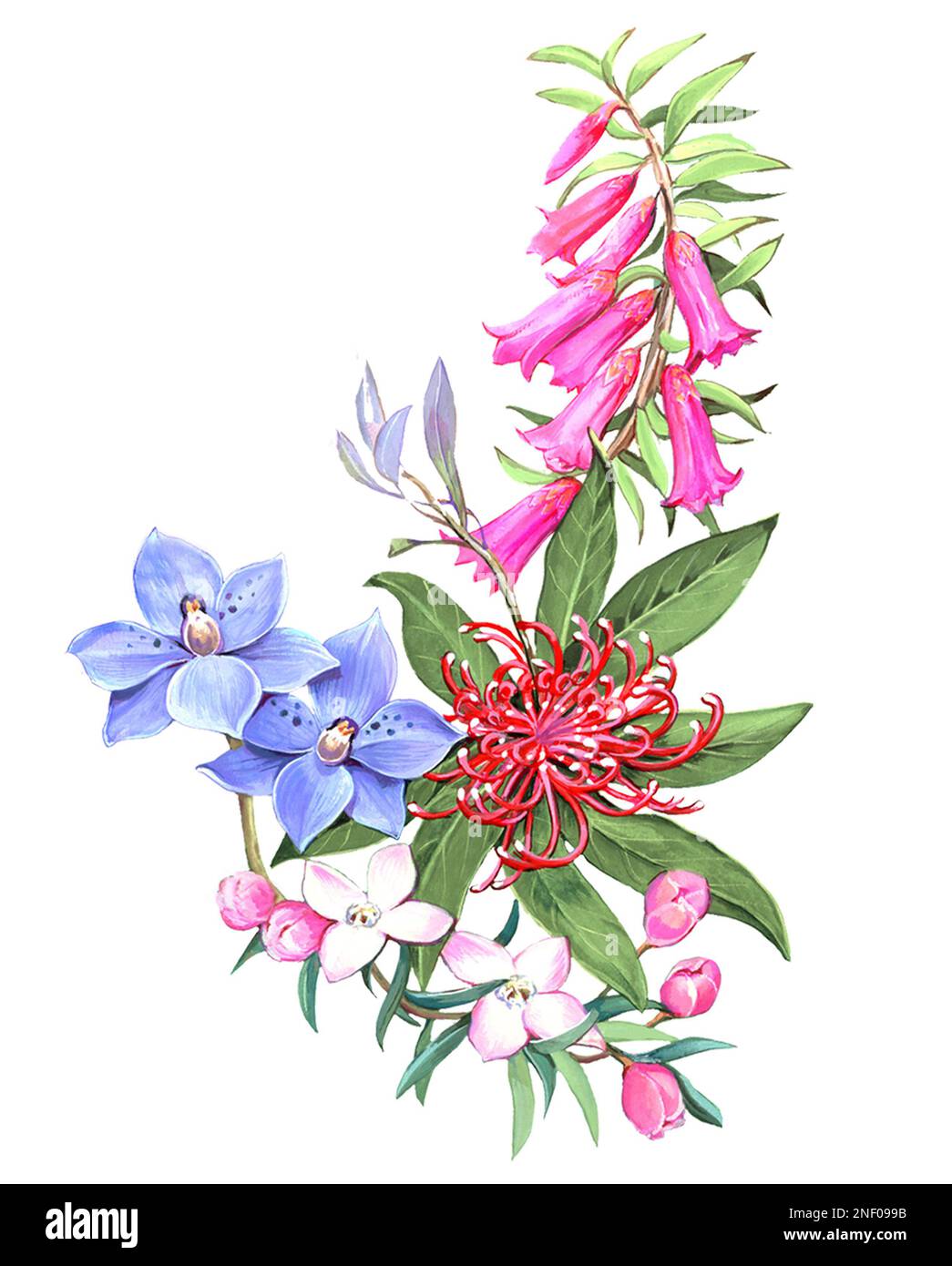 Flowers artwork hi-res stock photography and images - Alamy