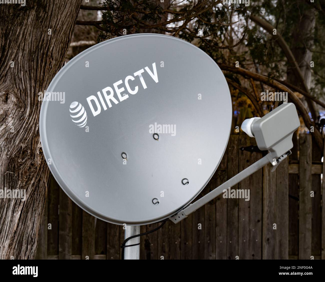 A grey DIRECTV satellite antenna receiver in the trees in Speculator, NY Stock Photo