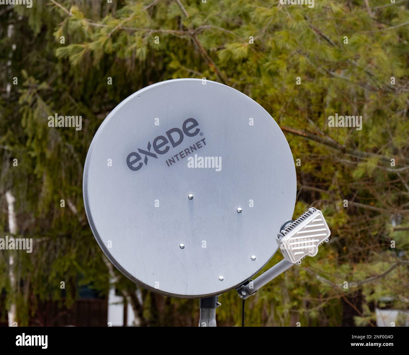 A grey EXEDE internet satellite antenna receiver in the trees in Speculator, NY Stock Photo