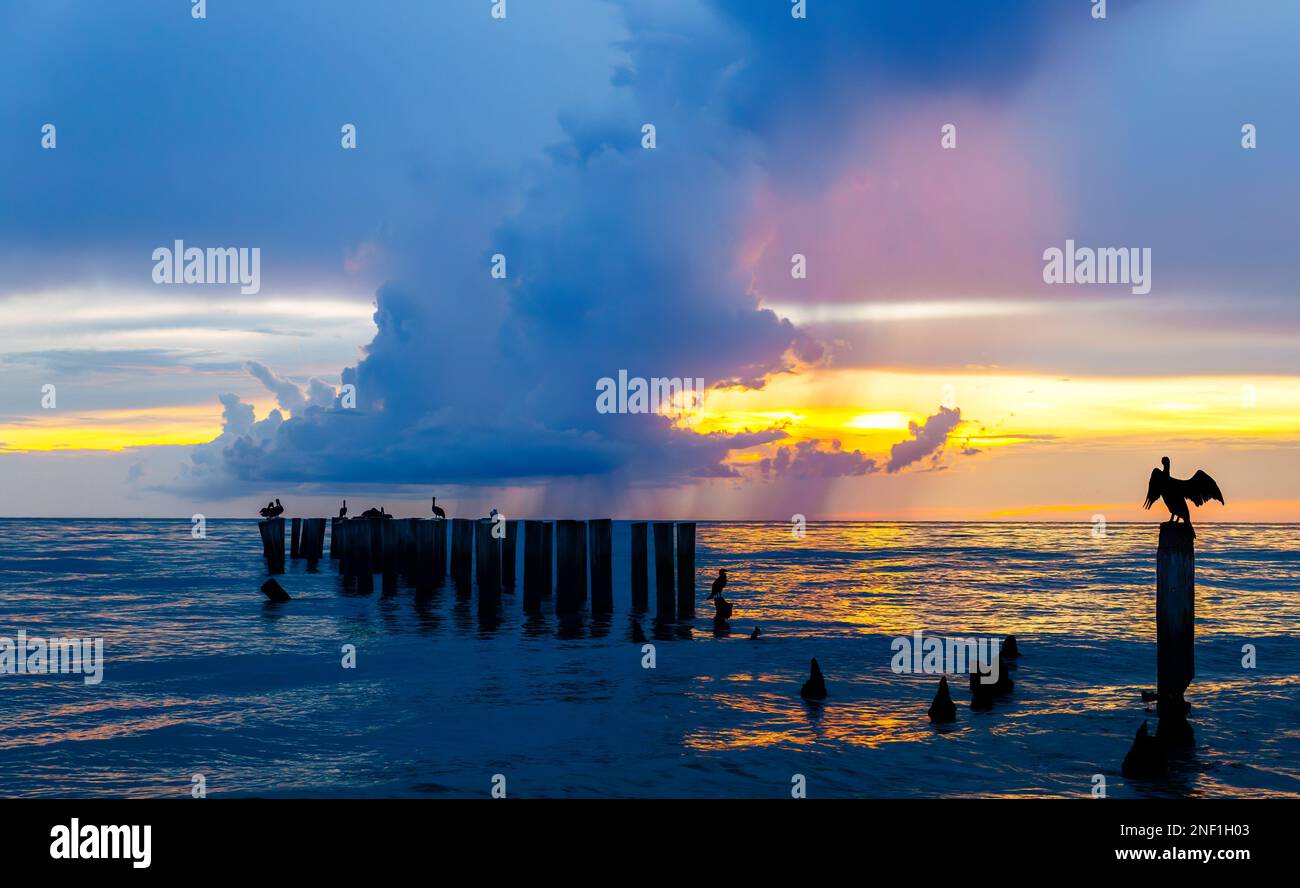 Sunset at Beach with Rain Cloud and Bird Perched on Wood Post in Water