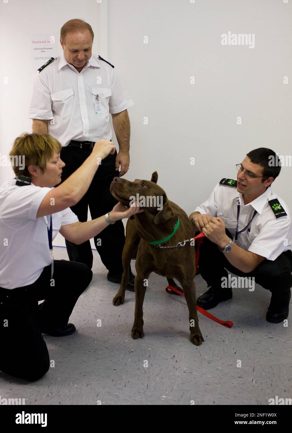 Arden Moore, left, a pet behaviorist, plays with one of the dog