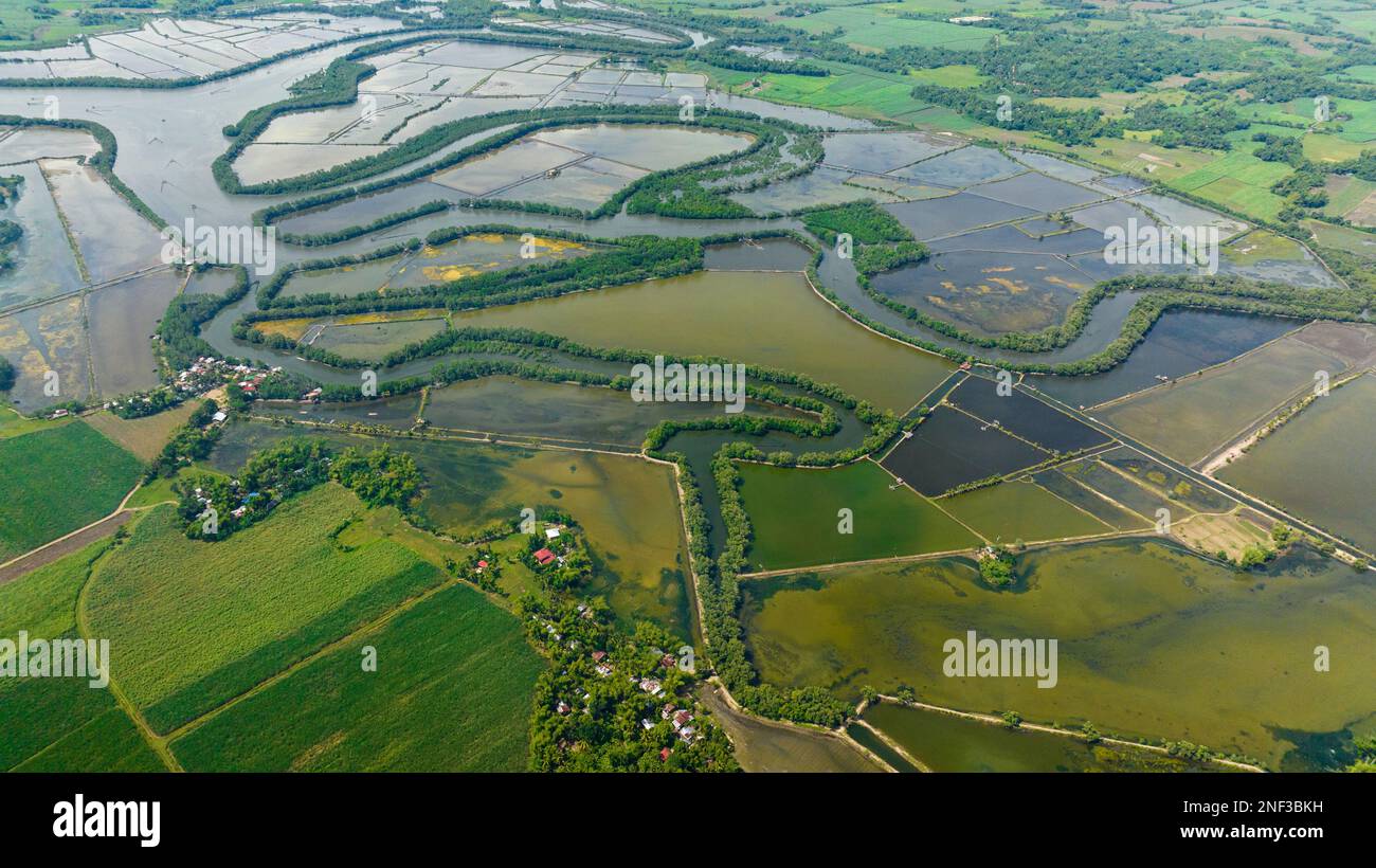 Aerial drone of river among rice fields and farmland. Agricultural ...