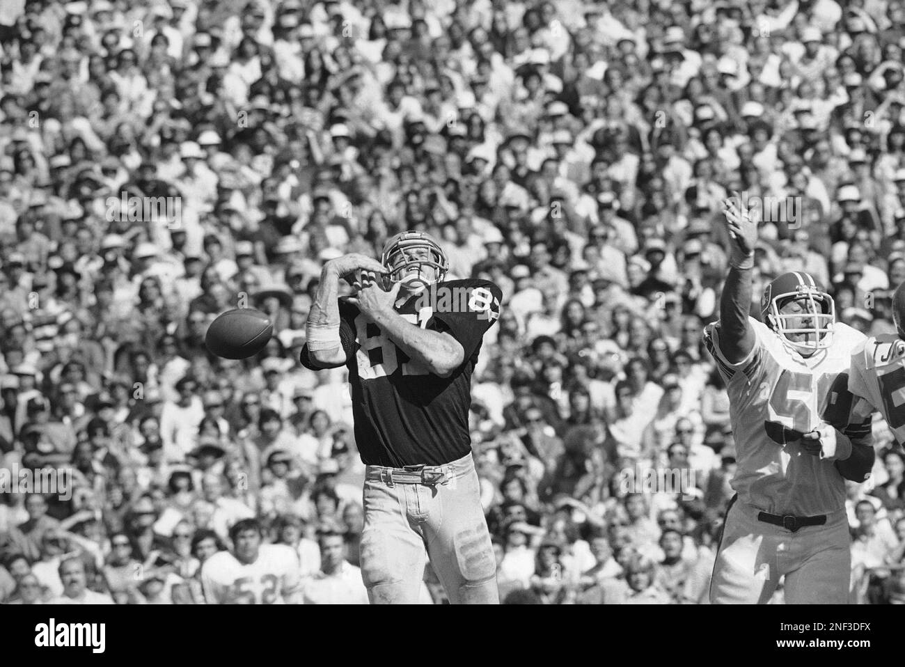 Dave Casper (87) of the Oakland Raiders is shown in 1977. (AP Photo Stock  Photo - Alamy