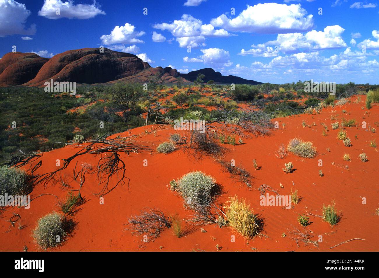 AUSTRALIA. NORTHERN TERRITORY. KATA TJUTA MOUNTAIN OR OLGAS MOUNTAIN AT ULURU-KATA TJUTA NATIONAL PARK THAT OWNS THE UNESCO WORLD HERITAGE Stock Photo