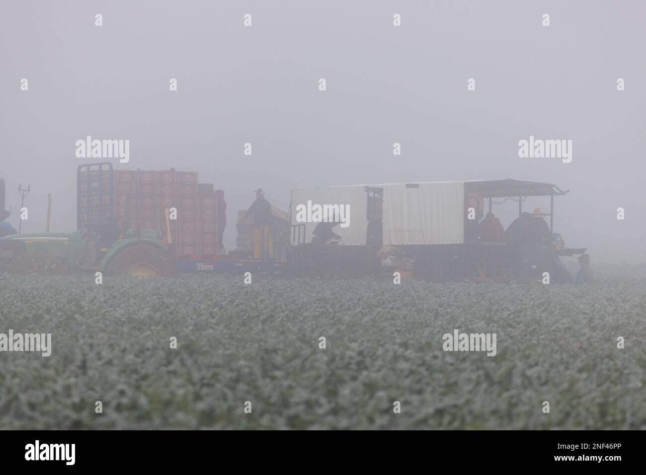 Agriculture supply chain hires stock photography and images Alamy