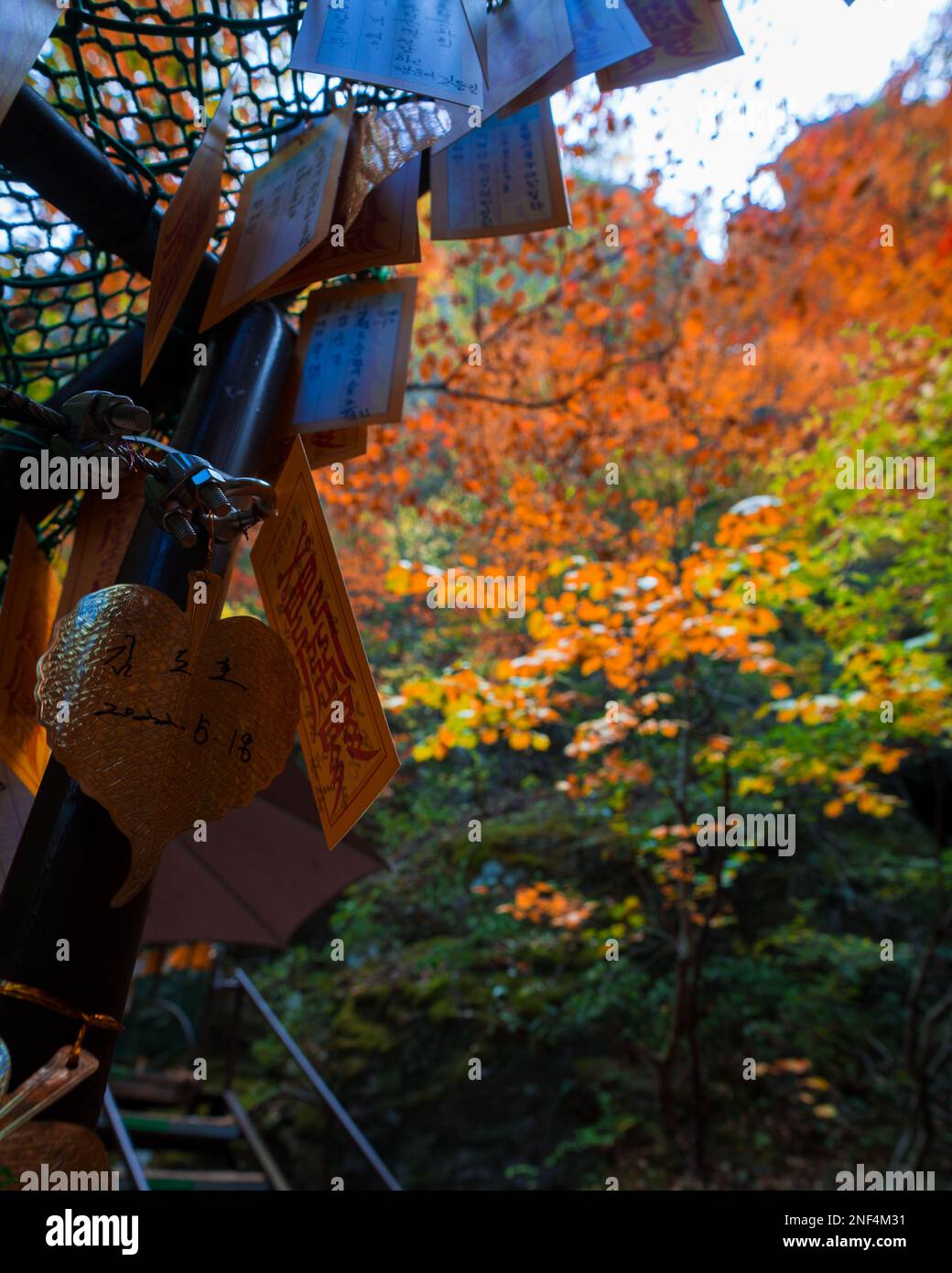 Prayers attached to a pergola near a temple on Juwangsan during Fall in Korea. Stock Photo