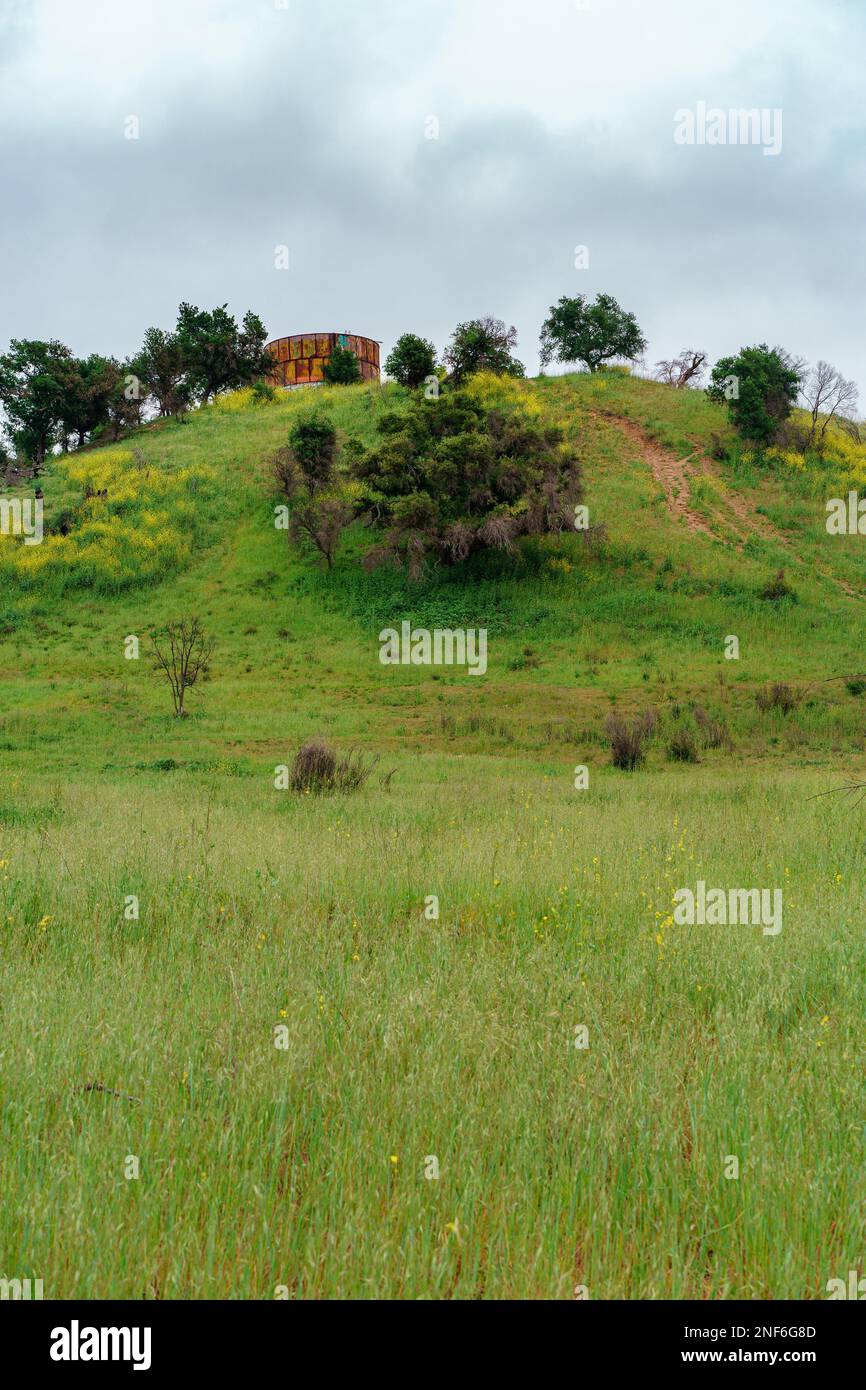 Dense nature greenery field hi-res stock photography and images - Alamy