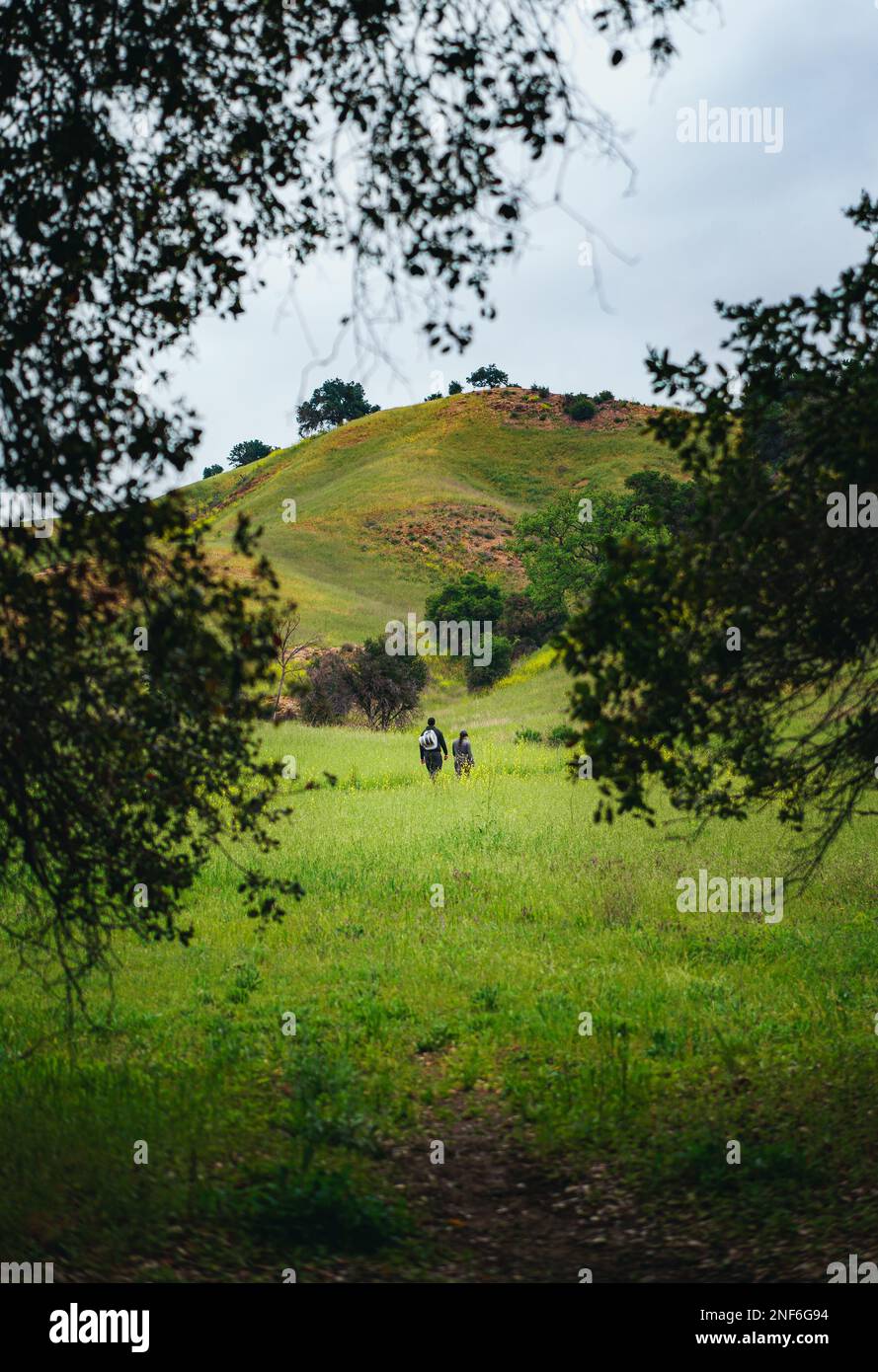 Dense nature greenery field hi-res stock photography and images - Alamy