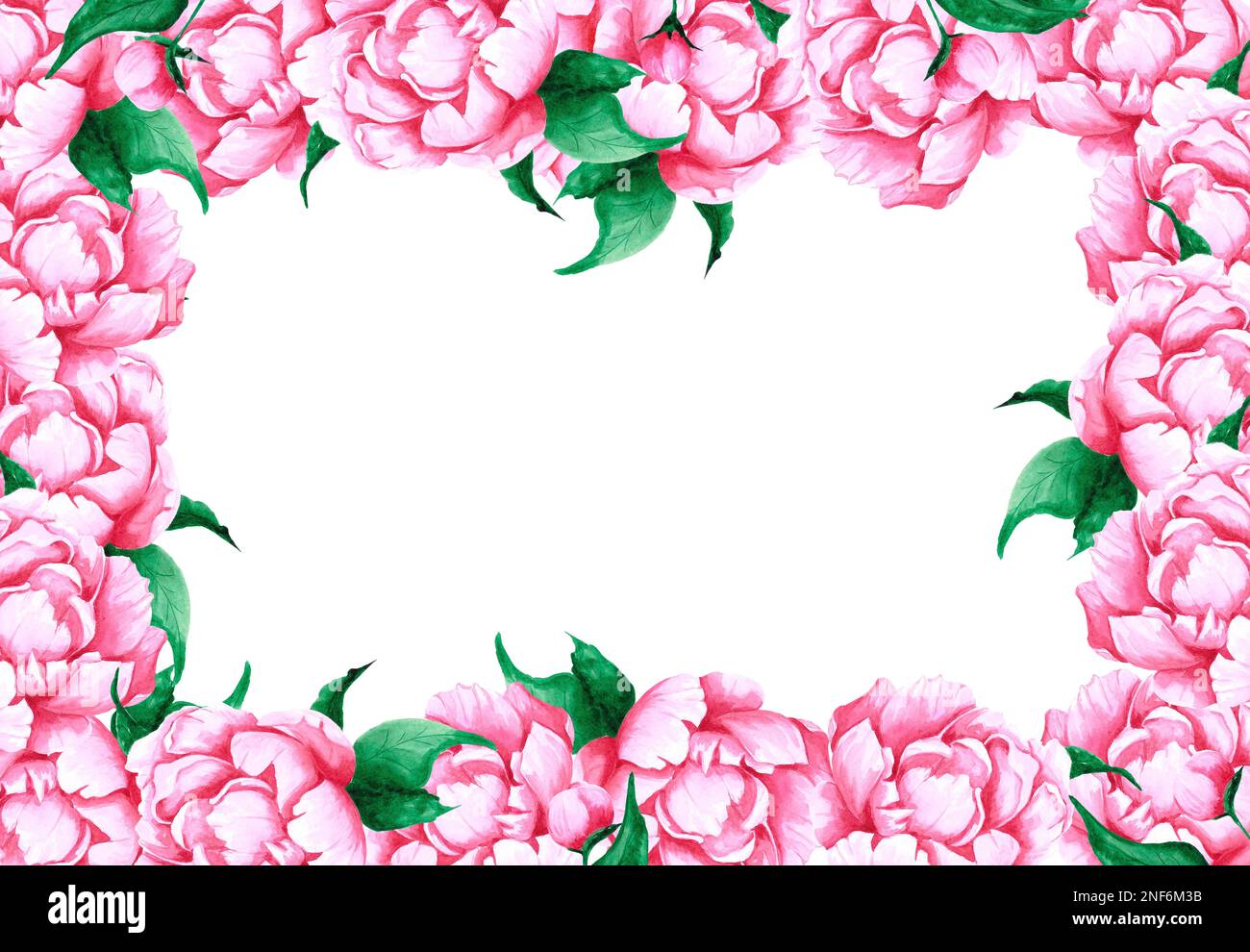 Handdrawn Watercolor pink peony flowers frame with green leaves and ...