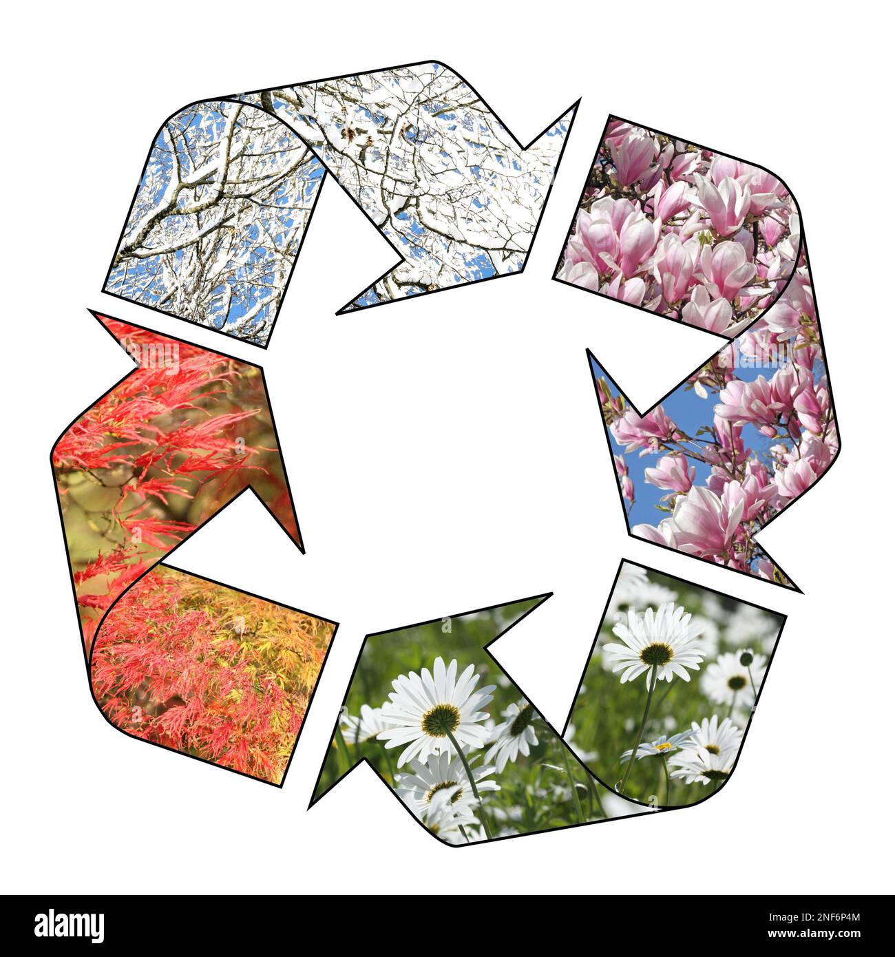 Four Season cycling arrows - spring, summer, autumn and winter Stock ...