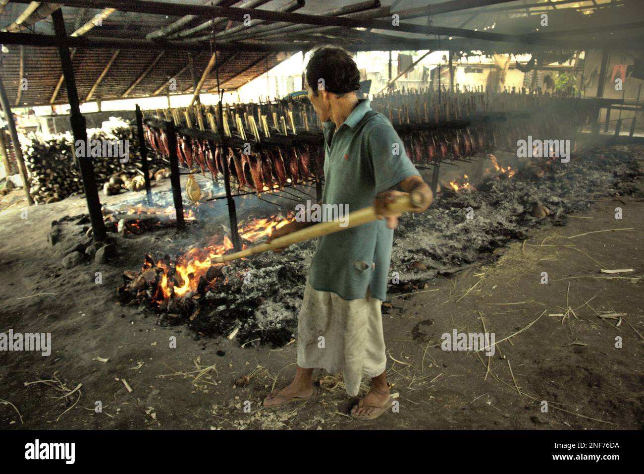 A worker is maintaining the distribution of coconut husk burning that is used as fuel to smoke skipjack tuna meats at a home industry in Bitung, North Sulawesi, Indonesia. Popularly known as 'cakalang fufu', the smoked tuna fish is considered an 'exotic indigenous food', a part of skipjack tuna fish production that is one of the most important economic activities in Bitung City area, one of the Indonesia's outer rings of fishing ports connected to Pacific Ocean. According to FAO in their latest report called The State of World Fisheries and Aquaculture 2022, Indonesia is the third largest... Stock Photo