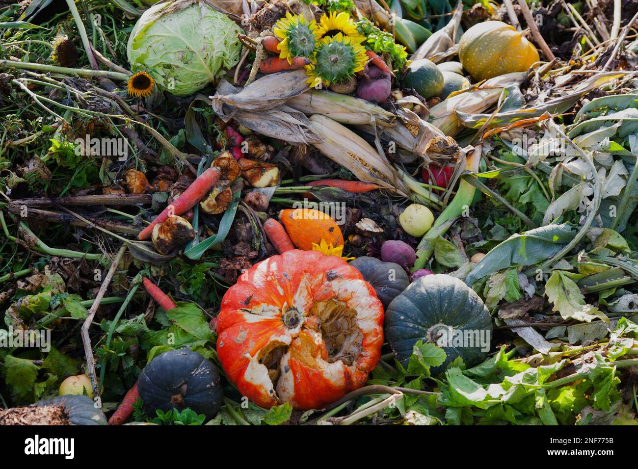 COMPOST HEAP IN AUTUMN Stock Photo Alamy
