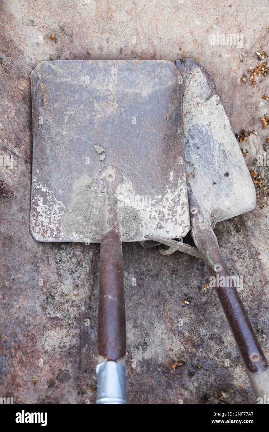 SPADES IN A WHEELBARROW Stock Photo - Alamy