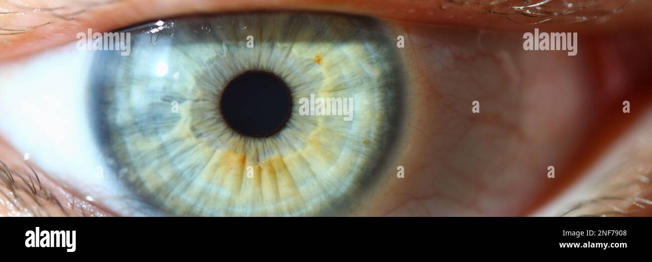 Closeup of human eye and macro photography Stock Photo - Alamy
