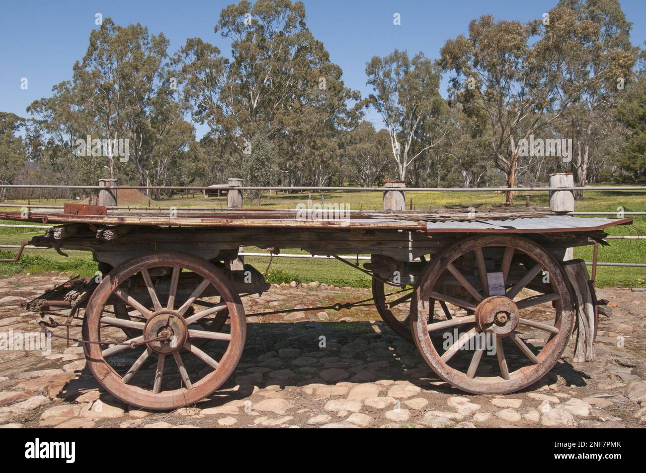 Historic bullock wagon at Bungaree Station, a pioneer farm established 1841,  Clare Valley, South Australia Stock Photo