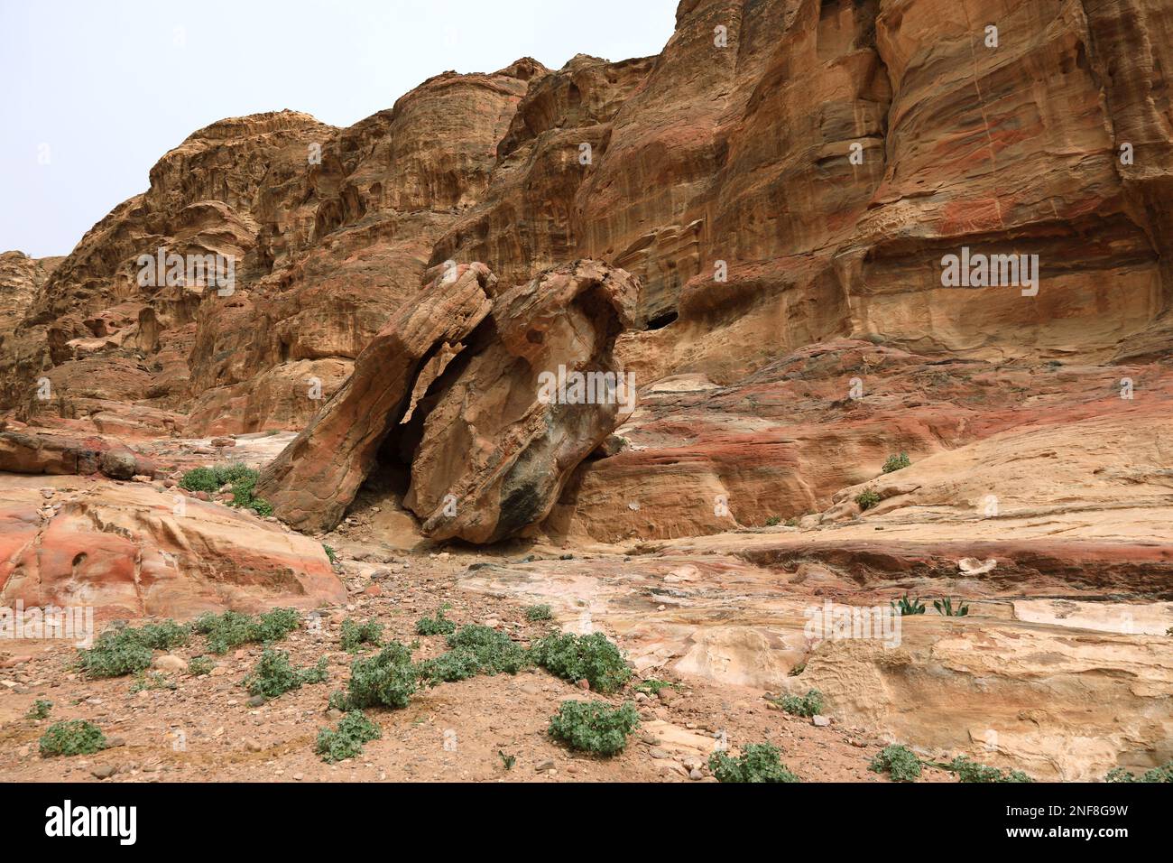 Aufstieg zum Kloster Ad-Deir, verlassenen Stadt Petra, al-Batra, Hauptstadt des Königreichs der Nabatäer, Jordanien  /  Climb to the Monastery Ad-Deir Stock Photo