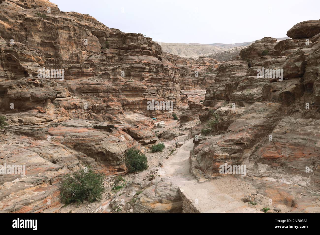 Aufstieg zum Kloster Ad-Deir, verlassenen Stadt Petra, al-Batra, Hauptstadt des Königreichs der Nabatäer, Jordanien  /  Climb to the Monastery Ad-Deir Stock Photo
