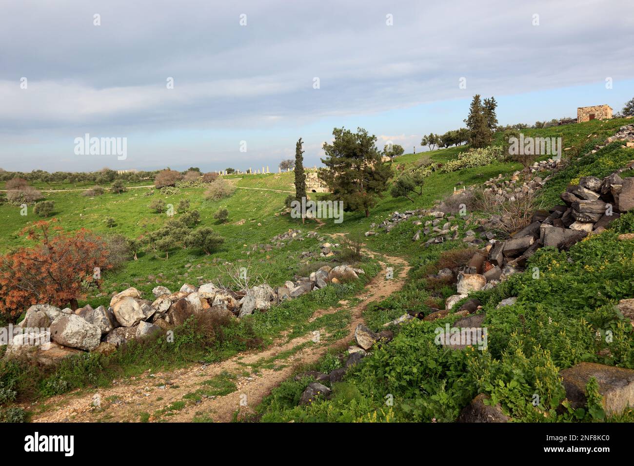 Gadara, eine griechisch-römische Stadt, heute Ruinenort nahe der Kleinstadt Umm Qais in Jordanien  /  Gadara was a Greek-Roman city, which belonged to Stock Photo