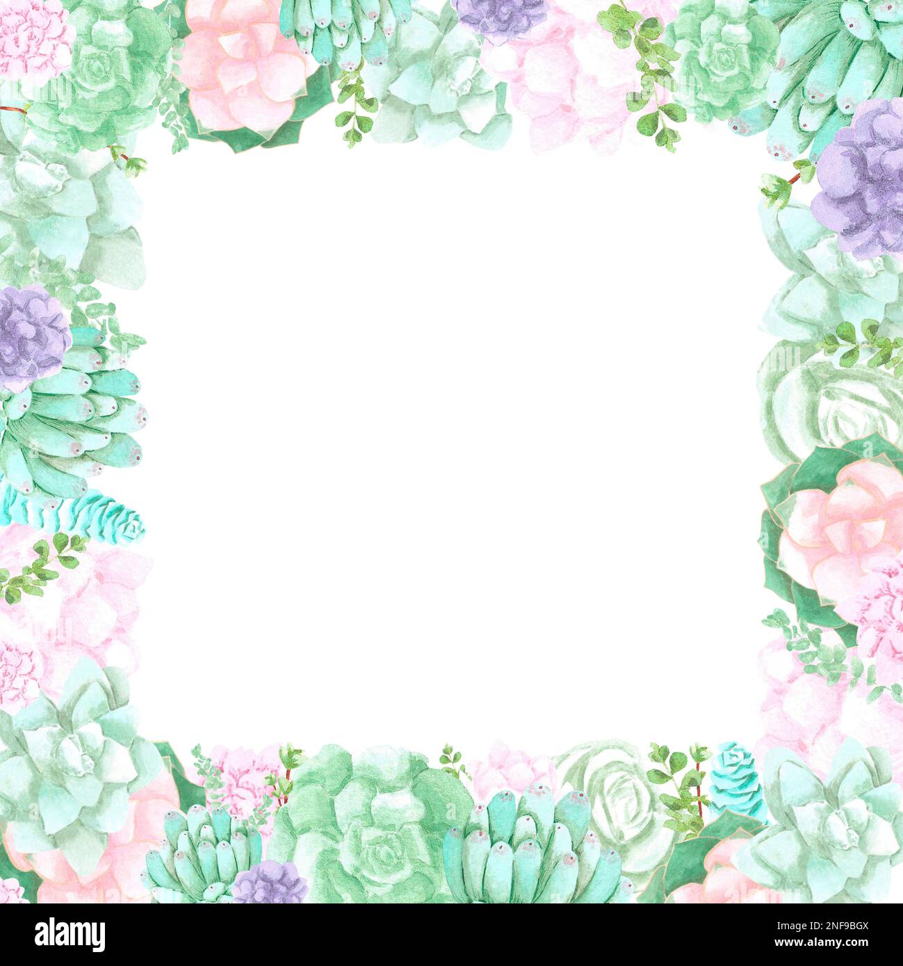 Succulent plants frame boarder on white Background. Hand drawn Watercolor  set. Botanical delicate illustration. Scrapbook design elements. Typography  Stock Photo - Alamy, image size:1299x1390
