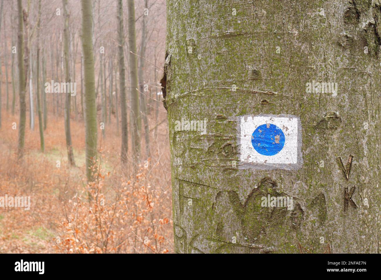 Vas circle hi-res stock photography and images - Alamy