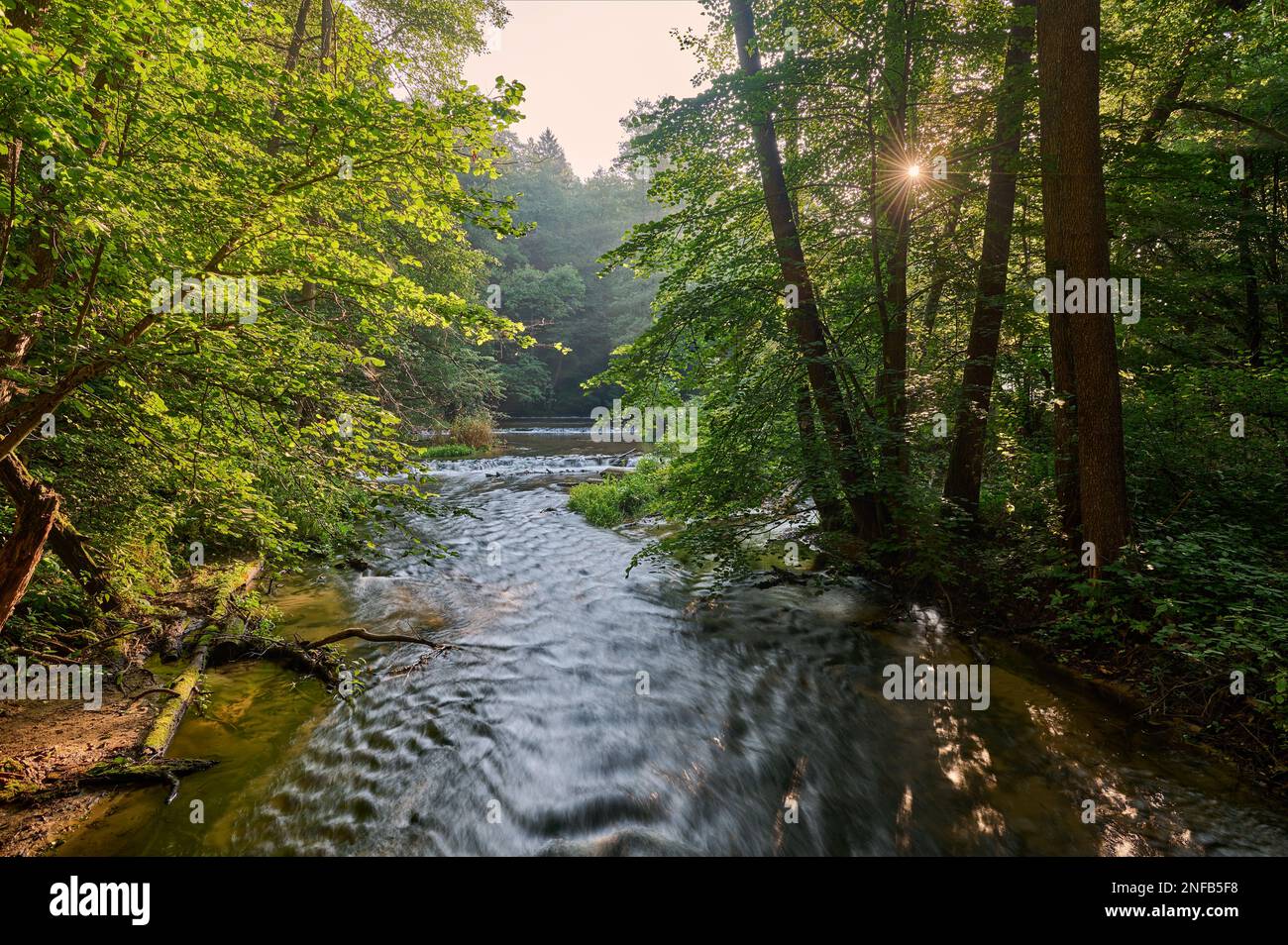 Rock thresholds on the Tanew River flowing through Roztocze Stock Photo