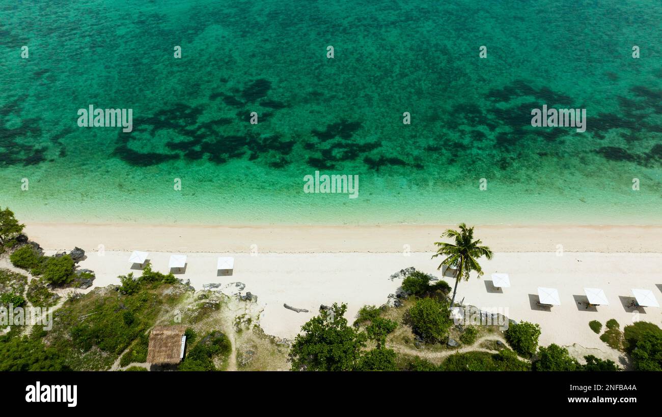 A tropical beach with palm trees and a blue ocean. Bantayan island ...